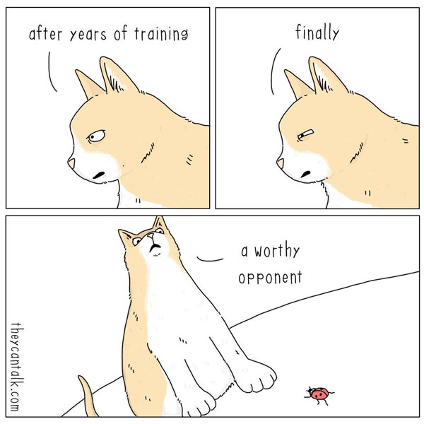 cat versus bug comic