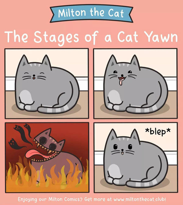 cat yawns comic