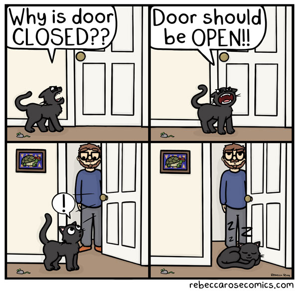 cats and doors comic