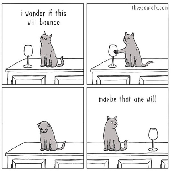 cats and gravity comic