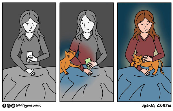 cats color our lives comic