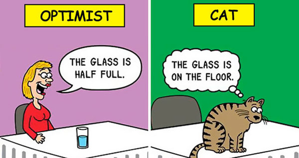 cats pessimist optimist comic