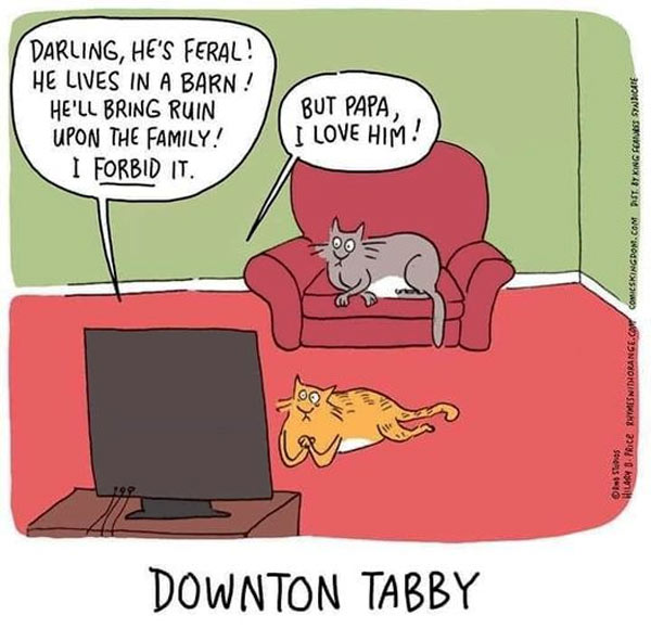 cast watch tv comic