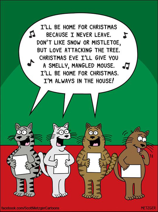 cat sing xmas comic