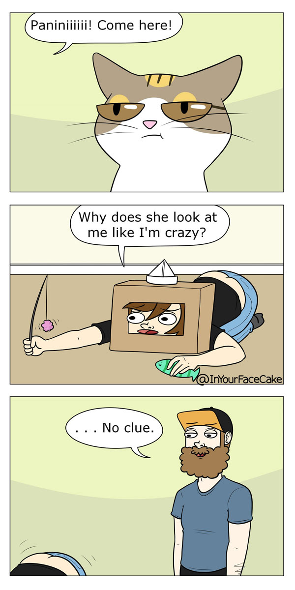 crazy cat owner comic