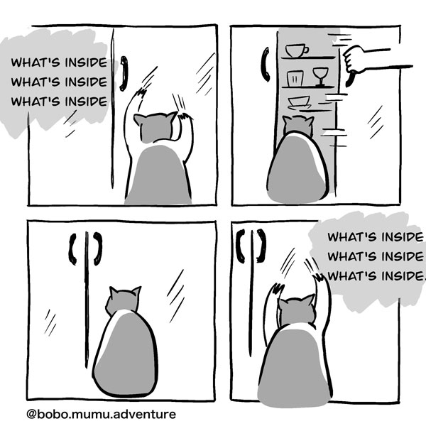 the curious cat comic