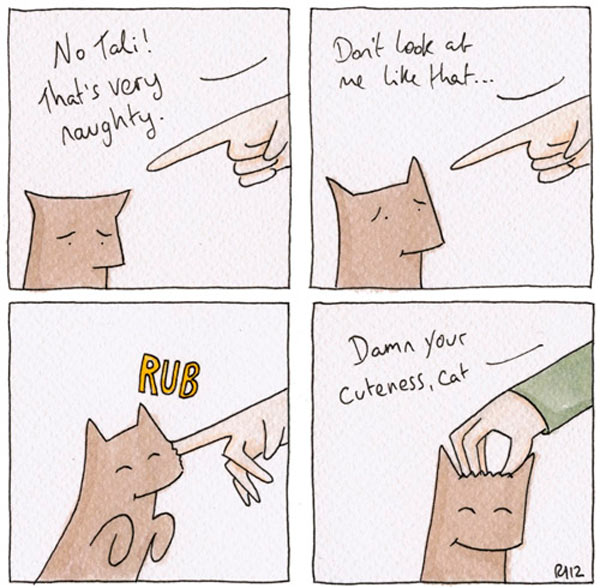 cute cat comic