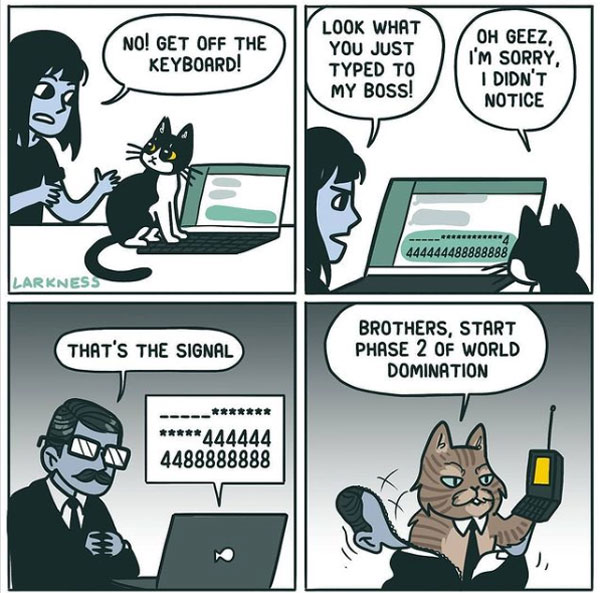 world dimination cat comic