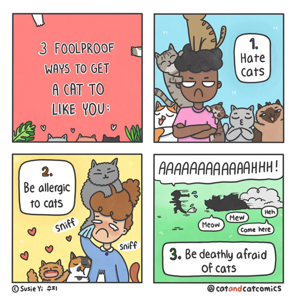 how to get cats to like you comic