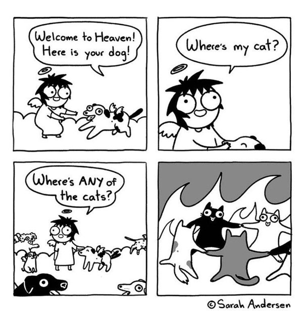 hellbound cat comic