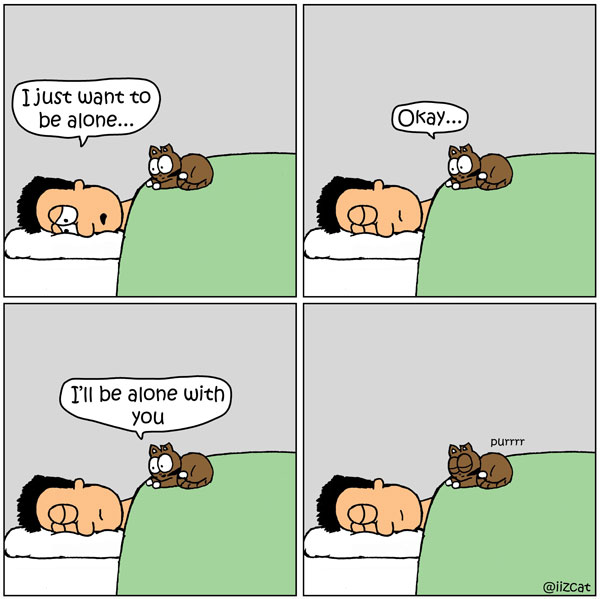 helpful kitten comic