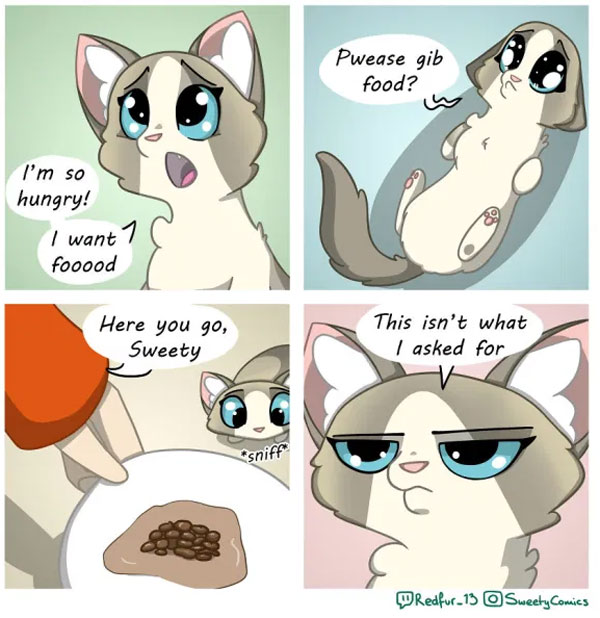 hungry cat comic