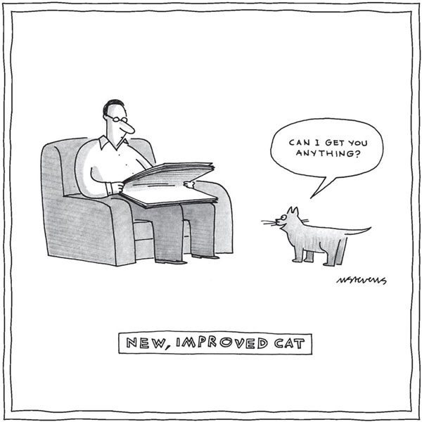 the new and improved cat comic