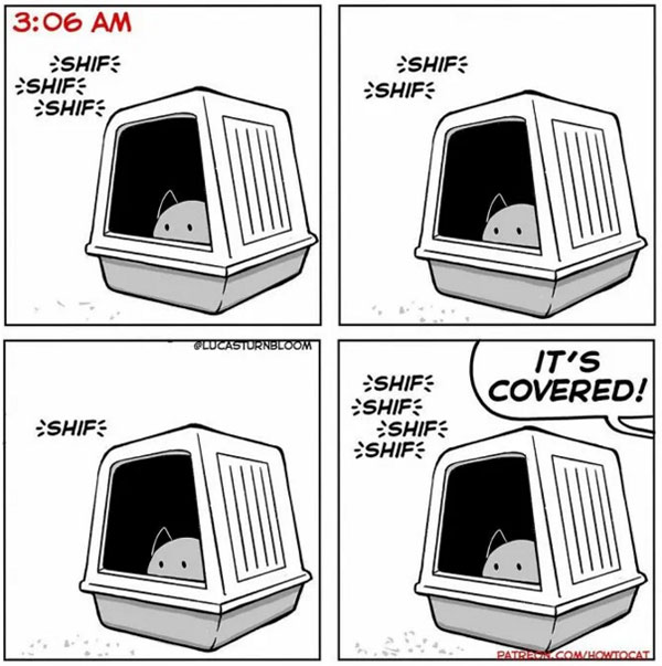 litter box comic