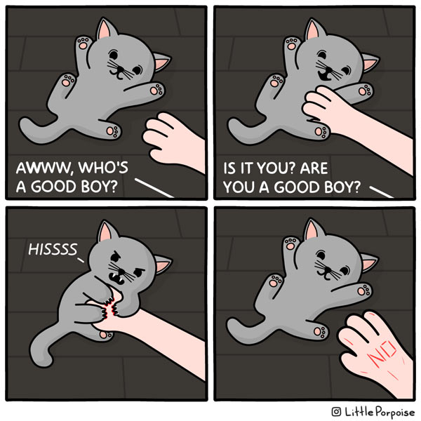 naughty kitten comic