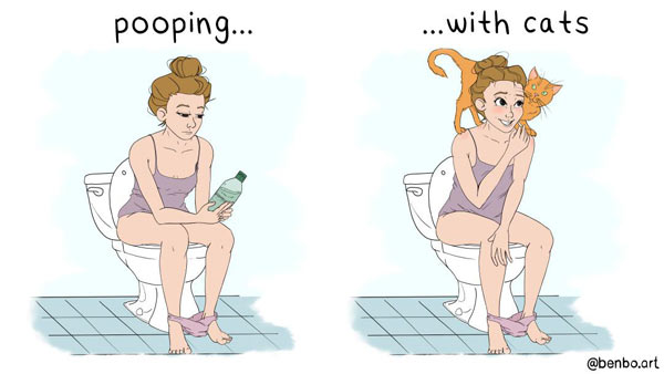 pooping with cats comic