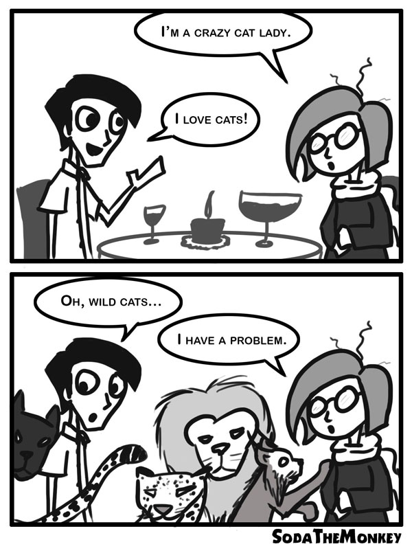 woman with cat problem comic