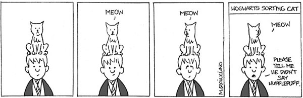 sorting cat comic