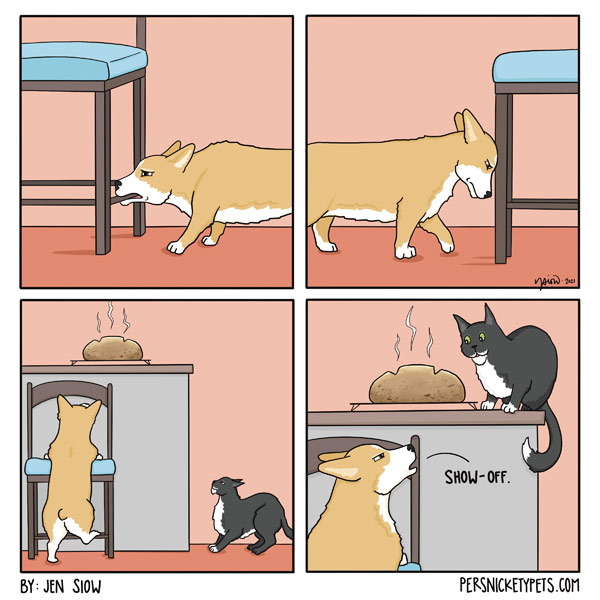 stupid dog comic comic