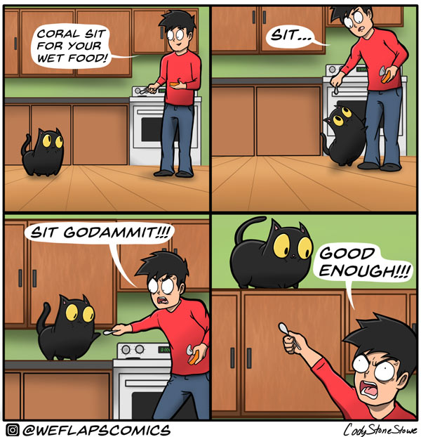 teaching cats to sit comic