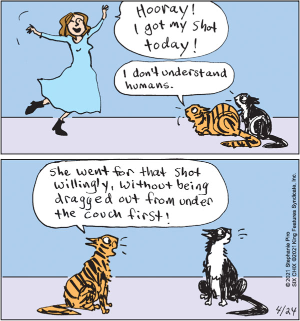 vaccination cat comic
