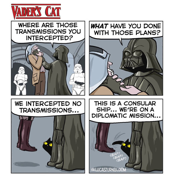 vader's cat comic