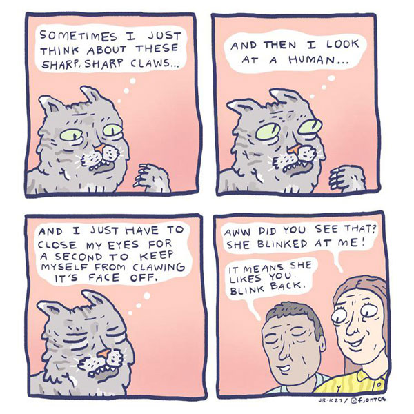 why cats blink comic