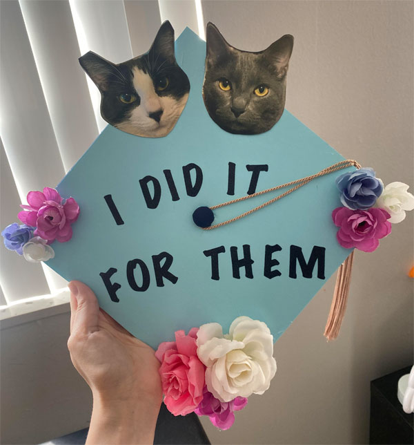 cat graduation cap