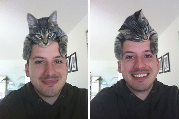 cat hats