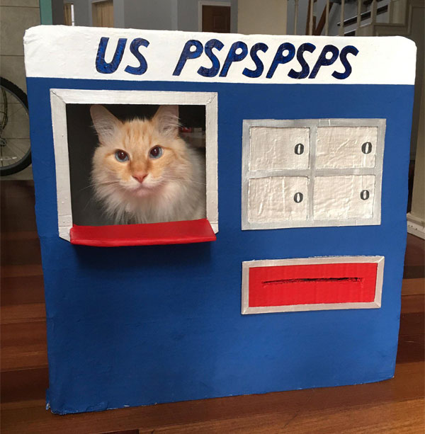 cat post office