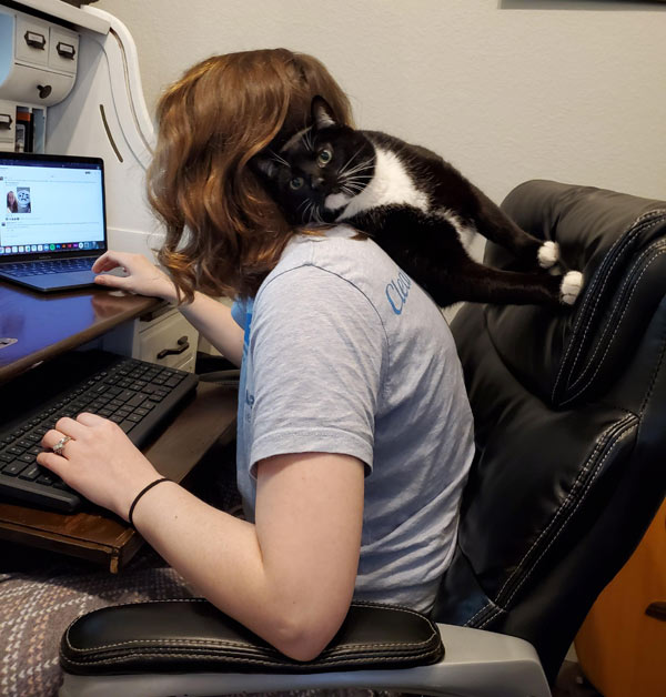 cat presses against woman