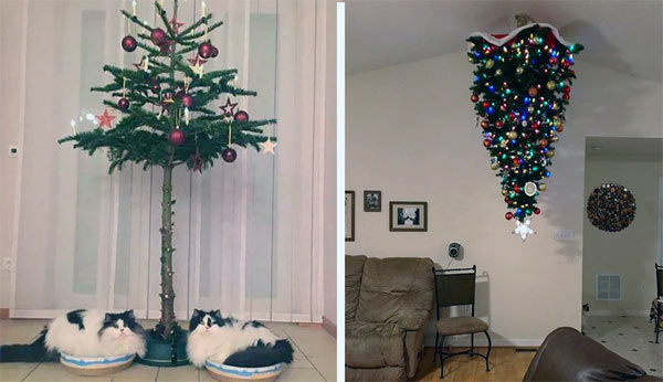 cat proo xmas trees