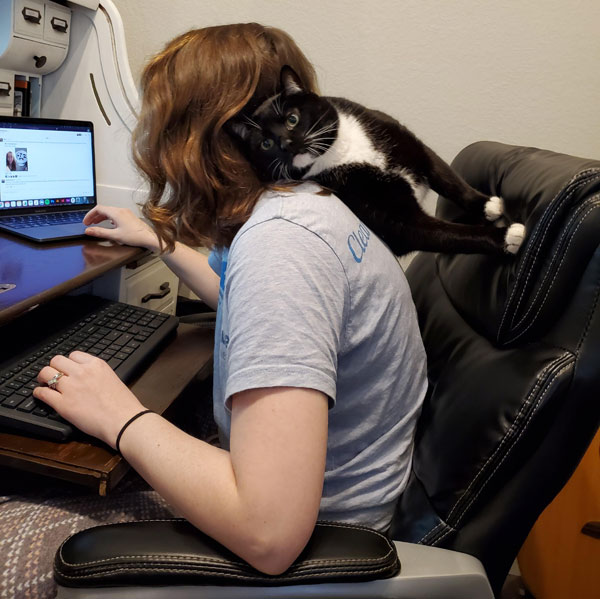 cat on owner's shoulder