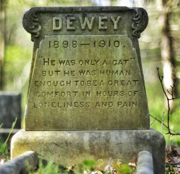 dewey cat gravestone