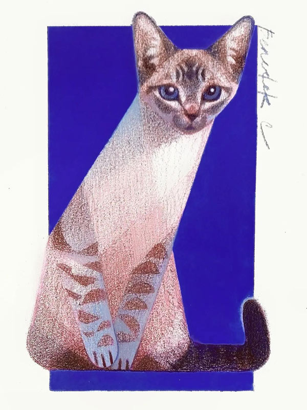 angular cat art