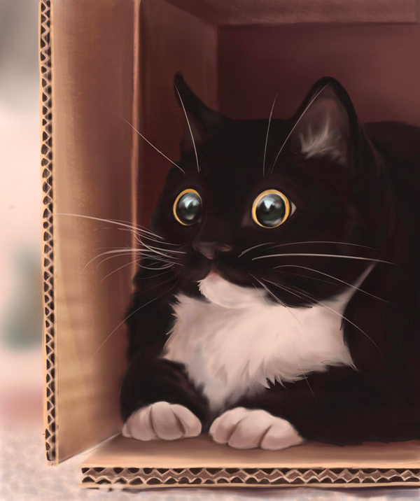 tuxedo cat in box fort art