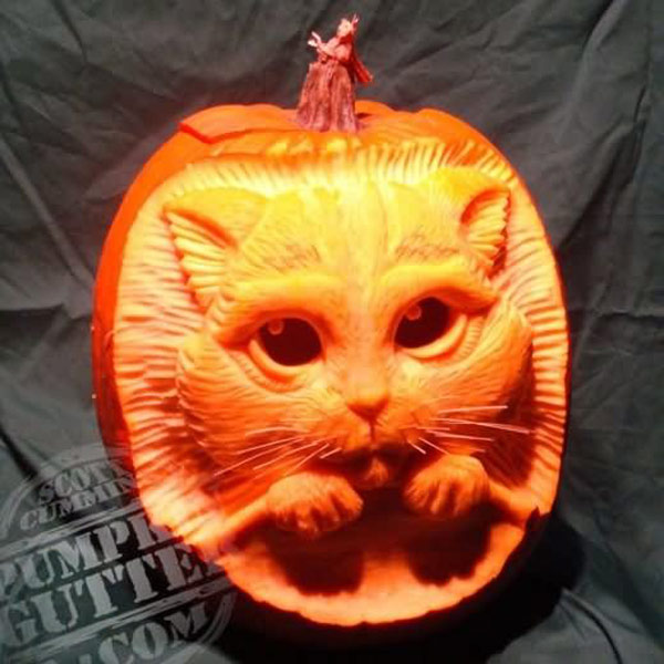 cat jack-o-lantern