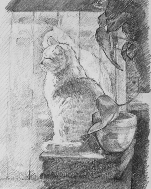 graphite cat art