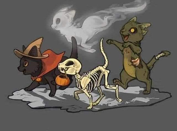 cat halloween art