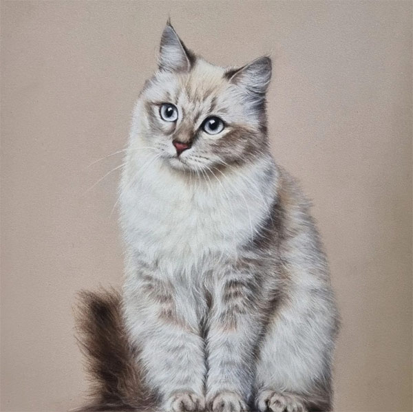 cat pastels art