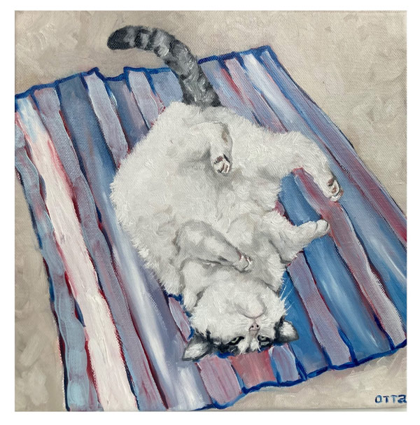 cat on blanket art