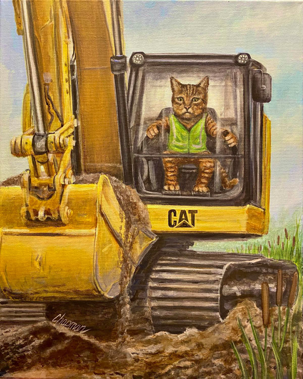 caterpillar operator cat