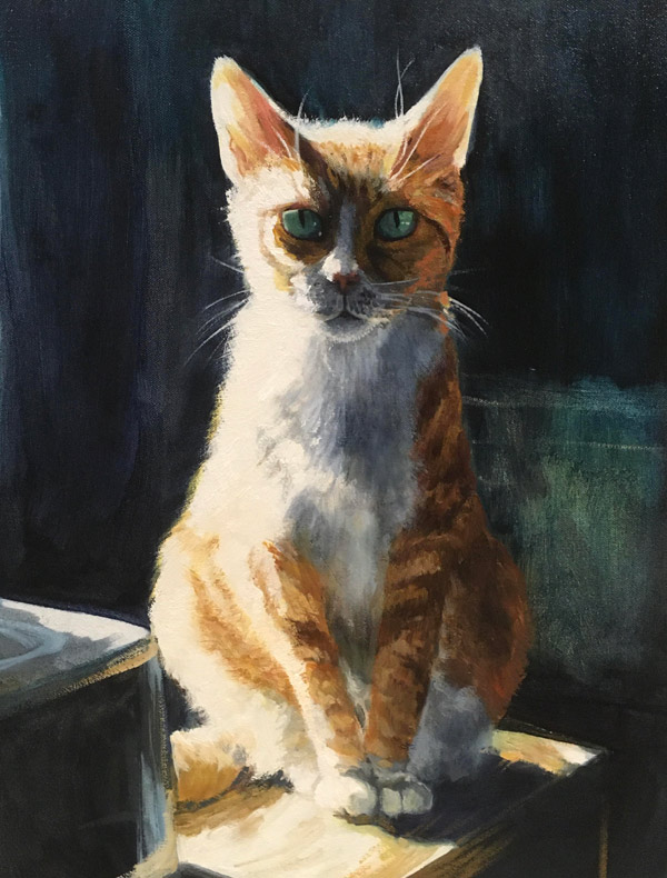 orange  cat art