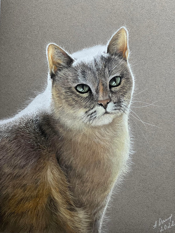 pastel cat art