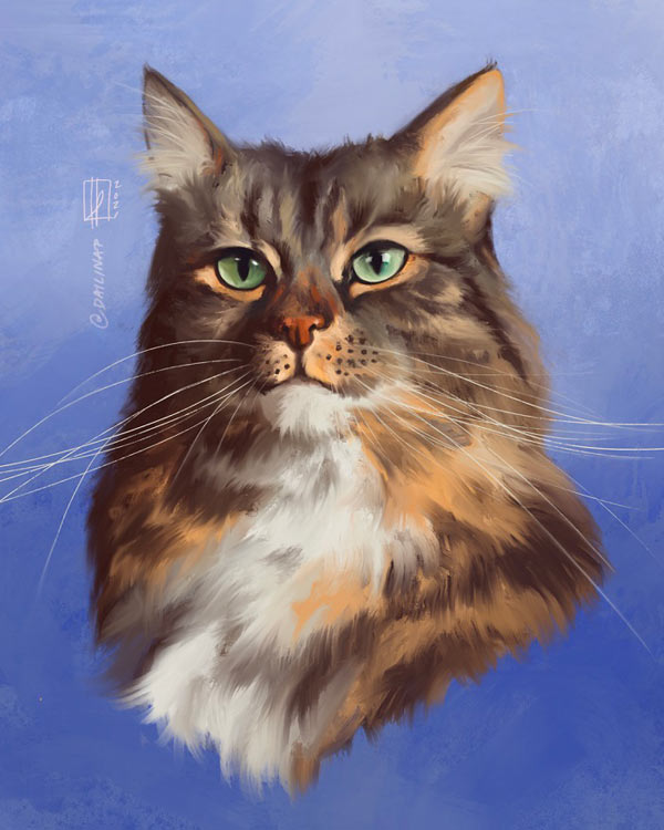 cat portrait