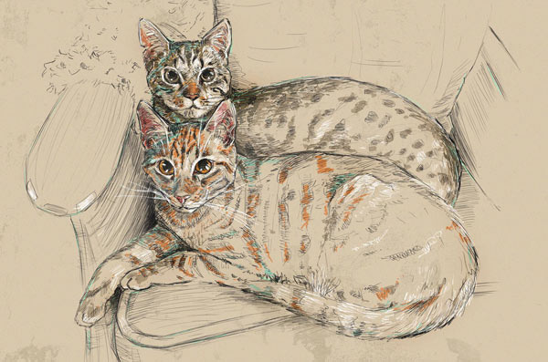 cats nursing art