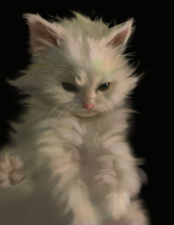 digital study of white cat