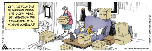 amazon cats comic