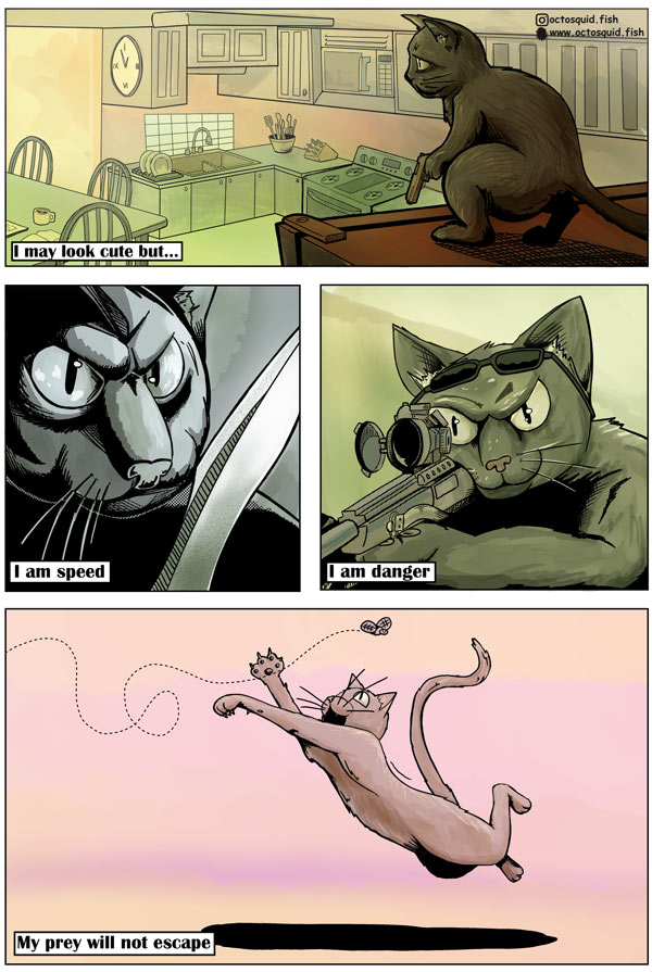 assassin cat comic