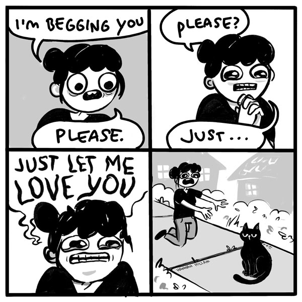 begging the cat comic